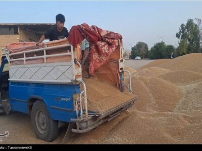 خرید تضمینی گندم به ۲ میلیون و ۳۰۰ هزار تن رسید