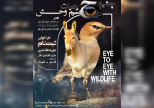 رویداد تجسمی «چشم در چشم حیاتوحش» برگزار میشود