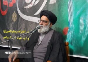 محمودی: همایش شیرخوارگان حسینی با محوریت تبیین قیام عاشورا برگزار شد