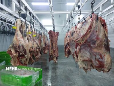 معدومسازی بیش از ۱.۷ تن فرآورده خام دامی غیربهداشتی در ایلام