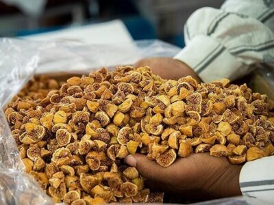 موقوفات چطور به حل مشکلات اقتصادی ورود کردهاند؟