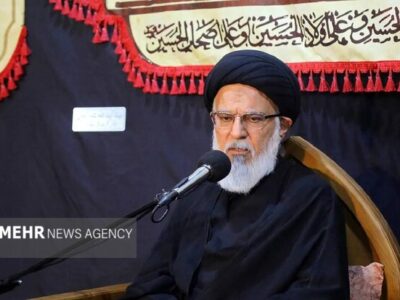 میرباقری: عاشورا تجلی روشن سنت الهی در یاری جبهه حق است