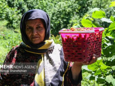 پروژه ملی «استارتاپهای روستایی ICT» در ۳ استان کلید خورد