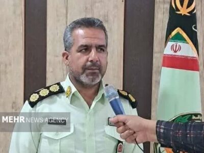 کشف ۲۵ راس احشام فاقد مجوز در میامی؛ ۲ خودروی متخلف توقیف شدند