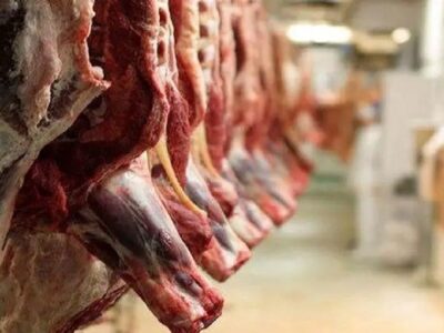 فرآوردههای خام دامی بدون ضوابط دامپزشکی وارد نمیشود
