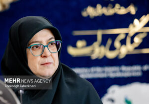 مهاجرانی: برق نیروگاه‌های تازه تاسیس به صنایع اختصاص می‌یابد