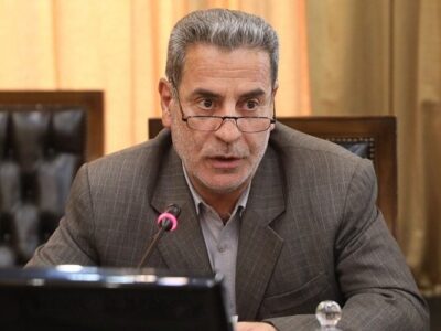 هادیان‌پور: سال گذشته ۳۴۰ هزار تن مرغ مازاد بر نیاز تولید شد