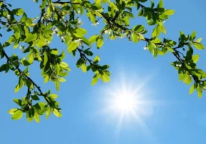 هشدار هواشناسی به ساکنان این استان ها/ گرمای بی‌سابقه در راه است