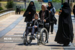 ۹۱ نفر از معلولان آذربایجانشرقی در مسیر حرم مطهر امام رضا(ع)