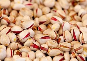 آغاز معاملات گواهی سپرده پسته از سه‌شنبه