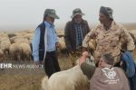 ارائه خدمات جهادی دامپزشکی به عشایر ایرندگان خاش