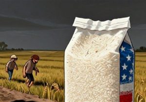 ببینید|برنج آمریکایی با سازوکار تجارت مرزی وارد کشور شد