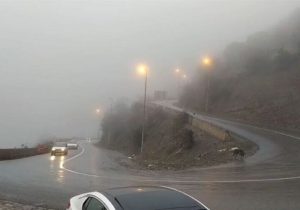 ترافیک سنگین در جاده چالوس و هراز