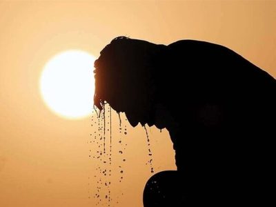 تلفات بیسابقه گرما در آلمان