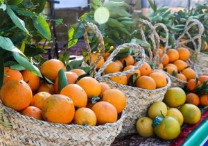 تلفیق فساد و سوءمدیریت باعث خسارت به بیتالمال است
