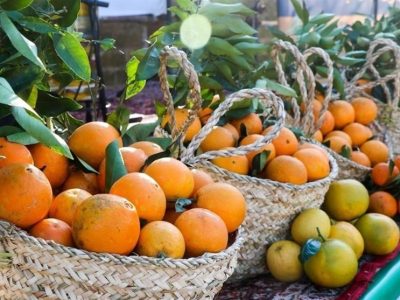 تلفیق فساد و سوءمدیریت باعث خسارت به بیتالمال است