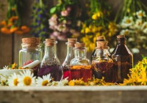 توسعه فناوری و استانداردسازی در زیستبوم گیاهان دارویی و طب ایرانی