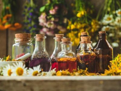 توسعه فناوری و استانداردسازی در زیستبوم گیاهان دارویی و طب ایرانی