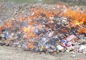 جمع‌آوری ۱.۵ تن فرآورده خام دامی فاسد در کردستان