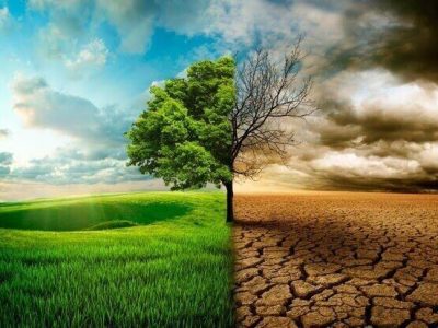 زنگ خطر النینو برای اقتصاد جهان؛ شرکتهای بزرگ در آمادهباش
