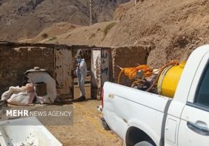 شریعتی: خدمات جهادی دامپزشکی در مناطق کم‌برخوردار ادامه دارد