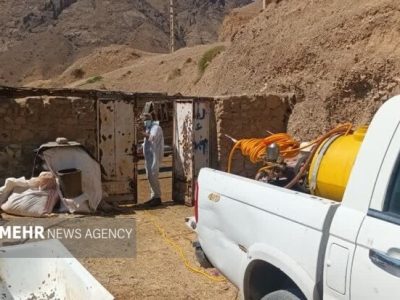 شریعتی: خدمات جهادی دامپزشکی در مناطق کم‌برخوردار ادامه دارد