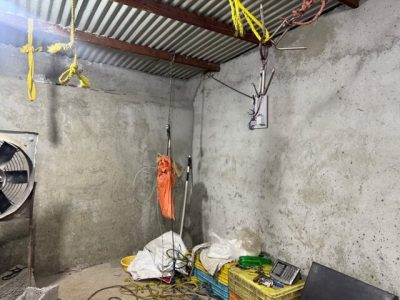 شناسایی دو مرکز کشتار غیرمجاز دام در حومه تبریز