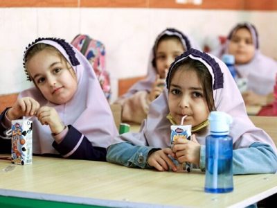 شیوه‌نامه توزیع شیر مدارس نیاز به اصلاح دارد