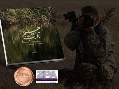 پروژه عکاسی از هورالعظیم جایزه عکاسی زیپا ۲۰۲۶ را کسب کرد