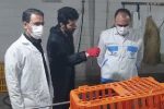 الزامات بهداشتی در کشتارگاه طیور اسلامآبادغرب رعایت شود