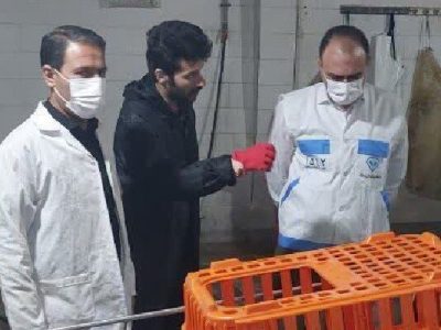 الزامات بهداشتی در کشتارگاه طیور اسلامآبادغرب رعایت شود