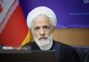 انصاری: واگذاری اختیارات به استانداران در جنگ کارآمدی خود را نشان داد