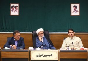 تنوع‌بخشی به سبد سوخت و انتقال سهمیه‌های بنزین به کارت بانکی بررسی شد