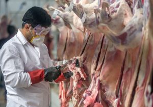 تولید بیش از ۲۵ هزار تن گوشت قرمز در خراسان رضوی