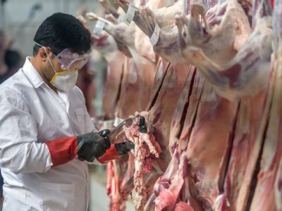 تولید بیش از ۲۵ هزار تن گوشت قرمز در خراسان رضوی
