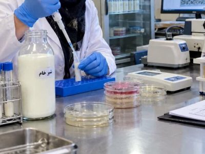دامپزشکی بر کیفیت و سلامت شیر تولیدی در استان بوشهر نظارت مستمر دارد