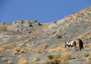 ساکنان کوه جفتان شهداد هیچ راه دسترسی ندارند!