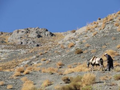 ساکنان کوه جفتان شهداد هیچ راه دسترسی ندارند!