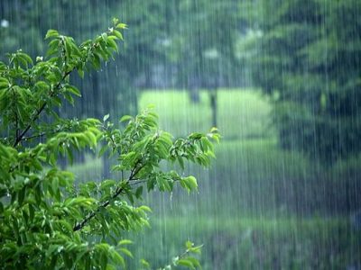 هشدار بارندگی سیل آسا در سواحل شمالی و جنوب کشور| کاهش دما در شمال‌غرب