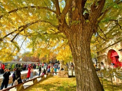 پاییز گرم آغاز شد؛ تغییرات جوی در راه است