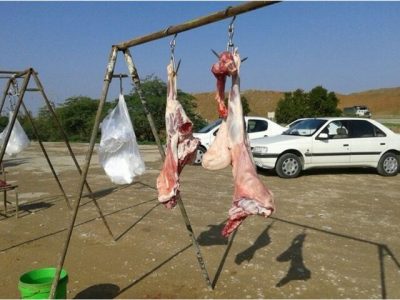 پلمب ۱۱ واحد کشتار و عرضه غیرمجاز دام و طیور در صحنه