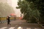 کاهش دما در برخی مناطق؛ احتمال سرمازدگی محصولات در مناطق سردسیر