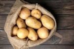 ۲۰ هزار تن سیب‌زمینی برای تنظیم بازار راهی بازار می‌شود