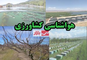تشدید فعالیت سامانههای بارشی و سیلآسا؛ هشدار به کشاورزان ۸ استان