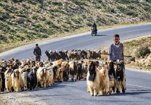 حضور ۳۰ هنرمند عشایری ایلام در نمایشگاه ملی روستا و عشایر تهران