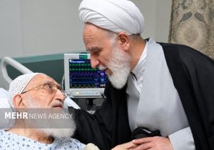 رئیس دفتر رهبر انقلاب در قم از آیتالله نوری همدانی عیادت کرد