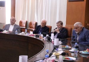 مرندی: سلامت عمومی تنها به «درمان» محدود نمیشود