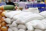 کاهش واردات برنج و تشدید فشار ارزی؛ زنگ خطر کمبود در نیمه دوم سال