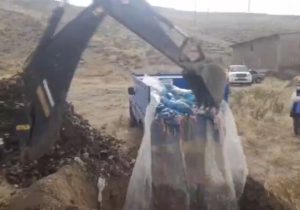 کشف و معدوم‌سازی حدود ۲ تن ضایعات مرغ فاسد در هوراند