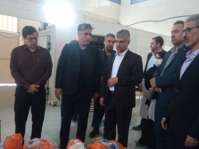۳۶ تن فرآورده دامی فاسد در همدان از چرخه مصرف حذف شد